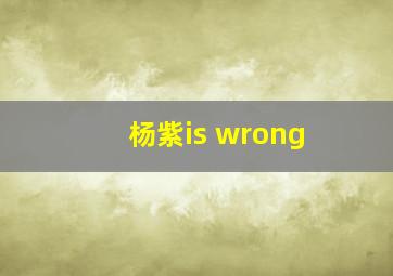 杨紫is wrong